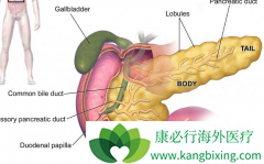 ���ٰ�֢״�ı��ֺ��շ��������ļ���