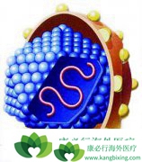 �����ϲ��������п��ܷ�չ�ɷΰ�����