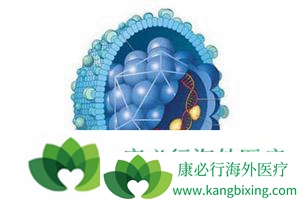 肺癌传染吗 肺癌传染吗