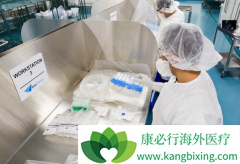 ��δ��CAR-Tϸ�����Ʒ����������ڰ�֢��һ������