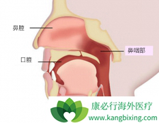 ���ʰ�֢״�кܶ��־����������Щ����