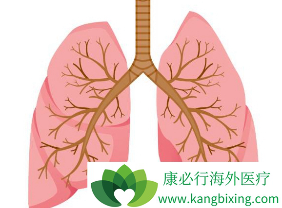 小细胞肺癌 小细胞肺癌