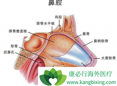 �����н��������ʰ�������Щ���ʰ�֢״