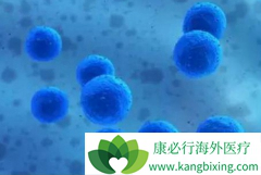 MIT�Ͳ�ʿ�ٴ�ѧ��������ͨ����CAR-Tϵͳ