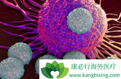 ��������CAR-T�����걨��չ����ע