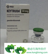 �ֽ׶�PD-1���Ƽ������Ʒ���������ȫ�����ͳ�Ʒ�