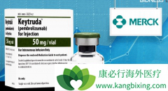 Ĭɳ��PD-1�����Ʒ�KeytrudaΪ���ڷΰ����ߴ�����ϣ��