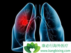 ��Сϸ���ΰ�������ʳ���˿������