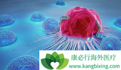 �°�������PD-1���Ƽ��������ڹ�������