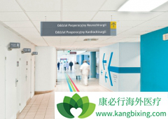 ӡ�������𽥳�Ϊȫ�����ҽ������Ŀ�ĵ�֮һ