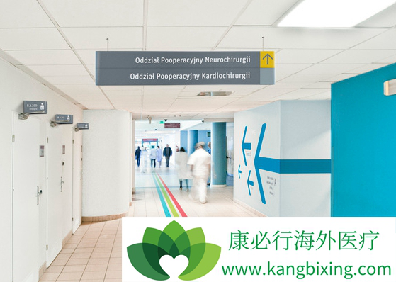 ҽ������