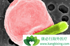 �ʺ���֢״�����ڱ�������Ҫ��������