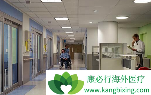 ҽ������