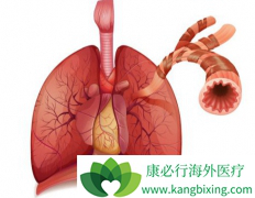 ��Сϸ���ΰ���������зΰ����ƿ���߻���������