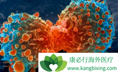 ��ֹ��֢ת�Ƶ���÷����Ǿ����������