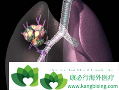 �ΰ����ڻ��߲�����ҩ���Ʒΰ��ɻ���֢״���Ს��