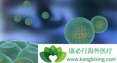 ʹ�������Ʒ������зΰ����ƿ����ӳ����ߴ��ʱ��