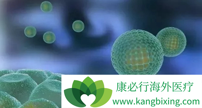 肺癌治疗 肺癌治疗