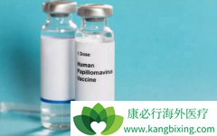 ���ڽ��а�֢��������߻��ߵ�������