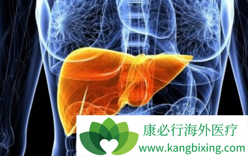 肺癌肝转移 肺癌肝转移