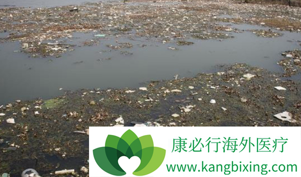 中国癌症村 中国癌症村