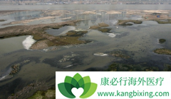 ��ȫ�İ�֢�����������˿�����û����ļ���