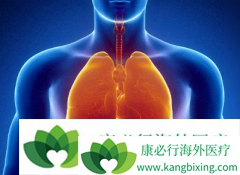 Χ�����ڷ�Сϸ���ΰ���������Ʒ�����ʲô