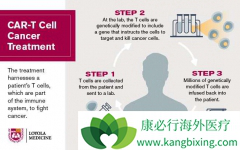 ����ͨ����CAR-Tϸ�������Ʒ����ܽ��������ƶ��ְ�֢