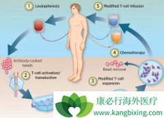 CAR-Tϸ���Ʒ������������������Դ�Bϸ���ܰ���