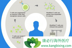 ����CAR-Tϸ�����Ʒ�����ѪҺ��֢��Ӧ���ʼ���