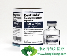 PD-1���Ƽ����������Ʒ����Ʒΰ�չ��������Ч