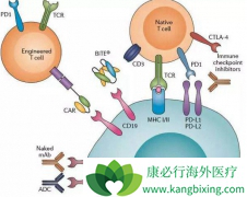 һζ����CAR-T�Ʒ��ļ۸�������ҵ��չ