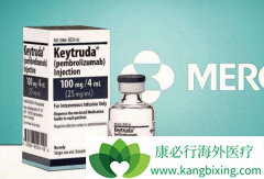 PD-1�ĳ��ֳɹ������˴�ͳ�İ�֢����ģʽ