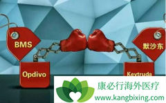 Ŀǰ�Ѿ��ɹ����е�PD-1���Ƽ�����Щ?