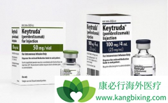 ����Щ����������ЧԤ��PD-1���Ƽ�����Ч?