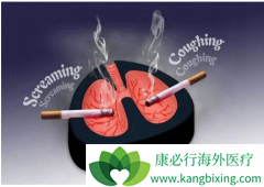 �ΰ���������Ӧ��ϵͳ���ۺ�����Ϊ��