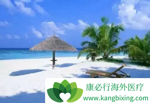 医疗旅游 医疗旅游