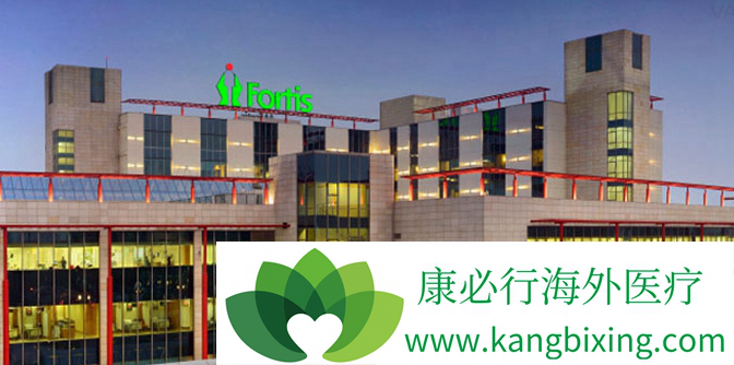 ҽ������