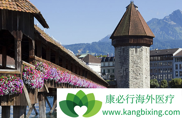 ҽ������