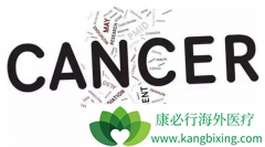 ���������Ǹ���ʹ�ð�֢��ҩ��һ��;��