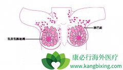 Σ��Ů�Խ��������ٰ�֢״�����ճ���ʳ���Ԥ����֢