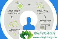 �׸�CAR-Tϸ�����Ʒ������������Ԥ����¯