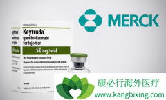 ��ȷ��־���ǽ���PD-1���Ƽ���׼�������Ƶ�ǰ��