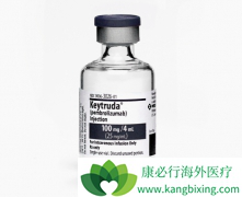 PD-���Ƽ�Keytruda(pembrolizumab)��һ����������������ҩ