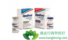 Opdivo��ȫ���׸����е�PD-1�������Ƽ���ҩ��