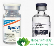 PD-1���Ƽ���ҩ��Ϊ��֢���ߴ������µ��������