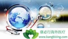 ����ҽ�����ձ���ҽ�Ʒ��ð�����Щ����?