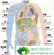 ��ָ֢�����ֵ�����ǰ�֢�����ı��