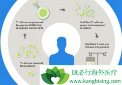 Yescartass��ȫ���׸���Էǻ�����ܰ������Ƶ�CAR0Tϸ������