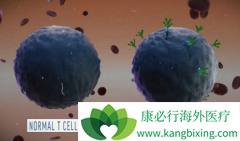 CAR-Tϸ�����Ʒ�����һ�����͵������������Ʒ���